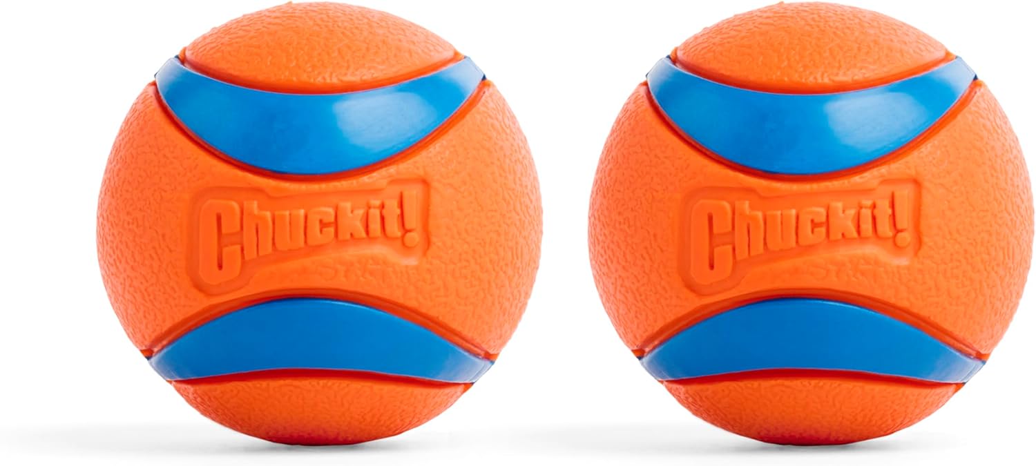 Ultimate Fetch Fun Balls