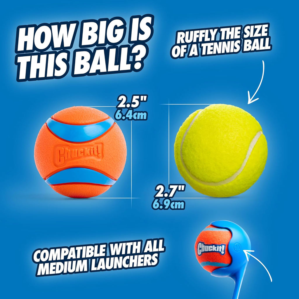 Ultimate Fetch Fun Balls