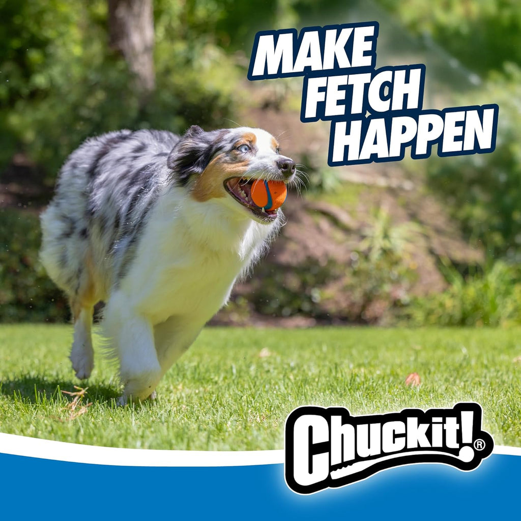 Ultimate Fetch Fun Balls