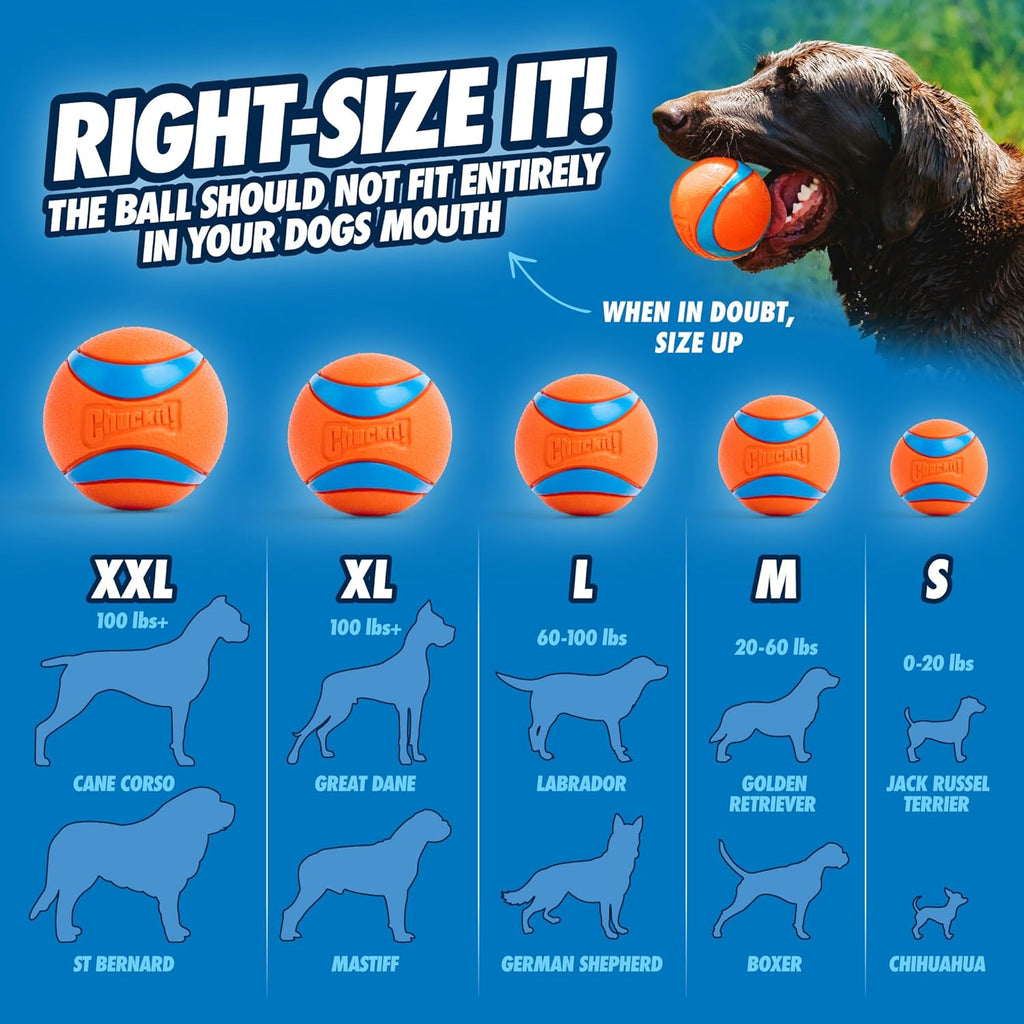 Ultimate Fetch Fun Balls