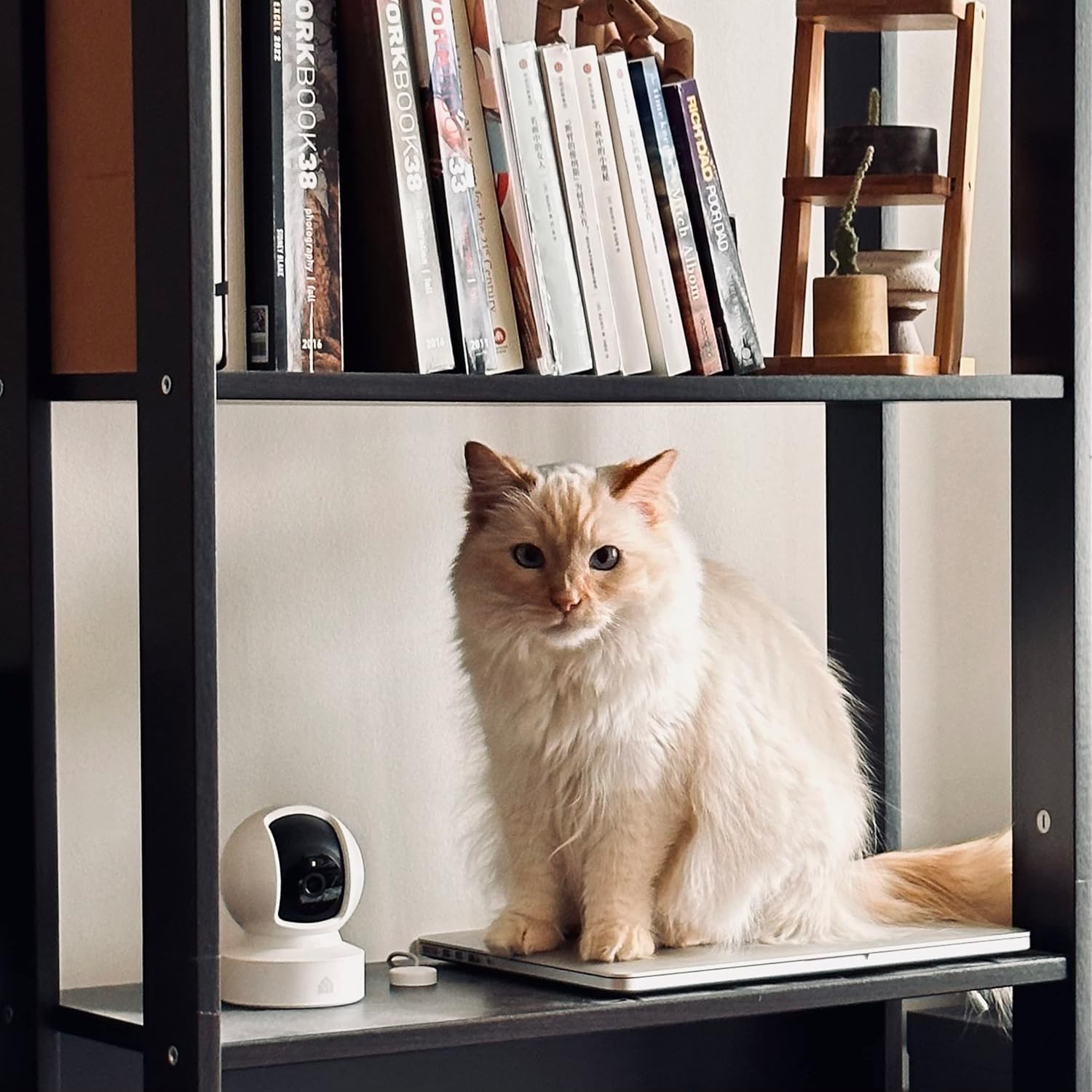 Smart Home Pet Monitor